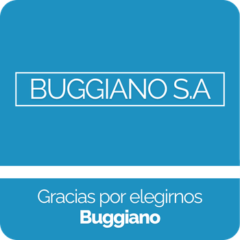 Proyectos exitosos: Buggiano S.A